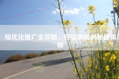 短优化推广全攻略，轻松吸粉的秘籍揭秘