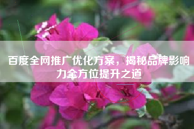 百度全网推广优化方案，揭秘品牌影响力全方位提升之道