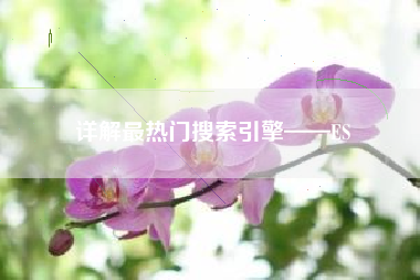 详解最热门搜索引擎——ES