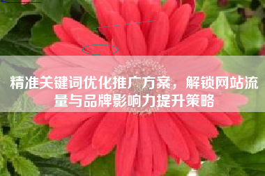 精准关键词优化推广方案，解锁网站流量与品牌影响力提升策略