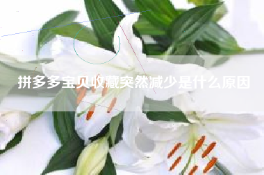 拼多多宝贝收藏突然减少是什么原因
