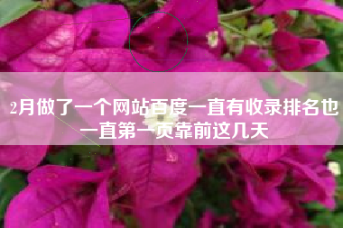2月做了一个网站百度一直有收录排名也一直第一页靠前这几天