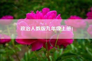 政治人教版九年级上册1