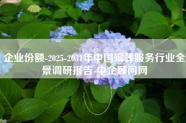 企业份额-2025-2031年中国殡葬服务行业全景调研报告-中企顾问网
