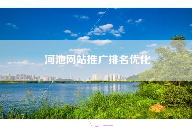 河池网站推广排名优化