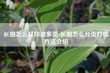 长图怎么打印成多页-长图怎么分页打印方法介绍