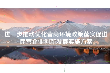 进一步推动优化营商环境政策落实促进民营企业创新发展实施方案