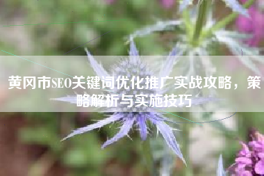 黄冈市SEO关键词优化推广实战攻略，策略解析与实施技巧