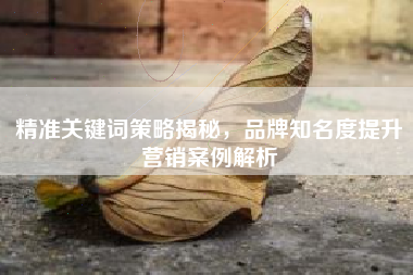 精准关键词策略揭秘，品牌知名度提升营销案例解析