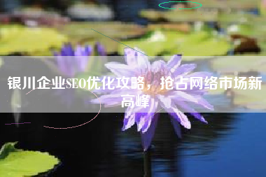 银川企业SEO优化攻略，抢占网络市场新高峰