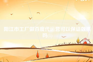 阳江市工厂做百度代运营可以保证效果吗(1)