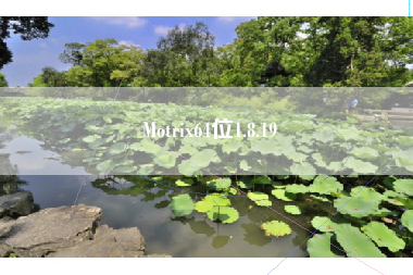 Motrix64位1.8.19
