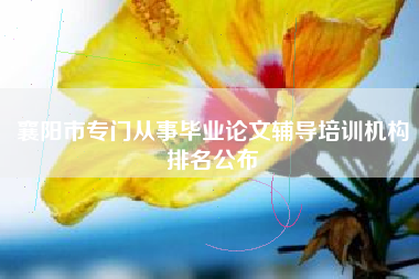 襄阳市专门从事毕业论文辅导培训机构排名公布