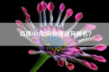 百度SEO如何快速提升排名？