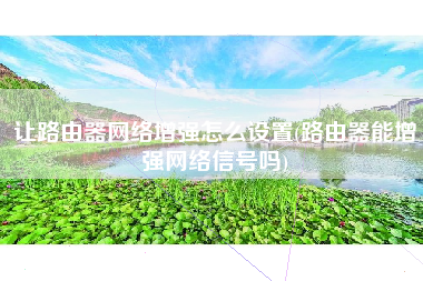 让路由器网络增强怎么设置(路由器能增强网络信号吗)