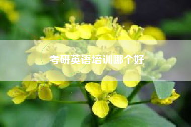 考研英语培训哪个好