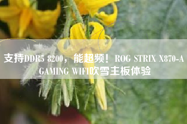 支持DDR5 8200，能超频！ROG STRIX X870-A GAMING WIFI吹雪主板体验