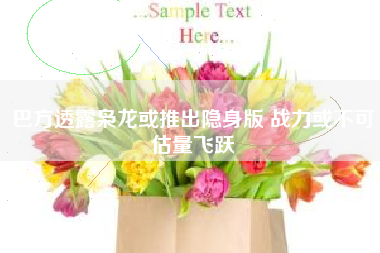 巴方透露枭龙或推出隐身版 战力或不可估量飞跃