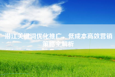 潜江关键词优化推广，低成本高效营销策略全解析