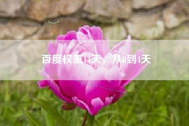 百度权重14天，从0到4天
