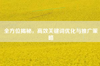 全方位揭秘，高效关键词优化与推广策略