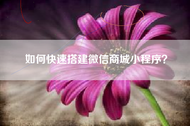 如何快速搭建微信商城小程序？