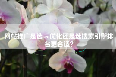 网站推广是选seo优化还是选搜索引擎排名更合适? 网站推广是选seo优化还是选搜索引擎排名更合适?