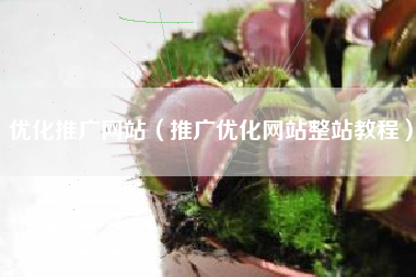 优化推广网站（推广优化网站整站教程）