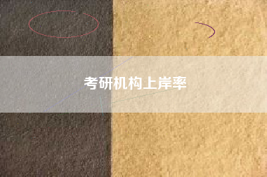 考研机构上岸率