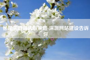 长尾关键词选取策略-深圳网站建设告诉你