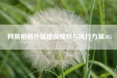 网易相册外链建设规划与执行方案305