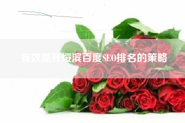 有效提升绥滨百度SEO排名的策略
