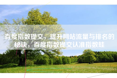 百度指数提交，提升网站流量与排名的秘诀，百度指数提交认准指数蛙