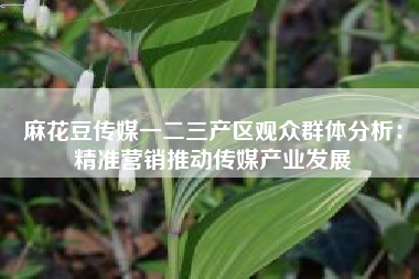 麻花豆传媒一二三产区观众群体分析：精准营销推动传媒产业发展