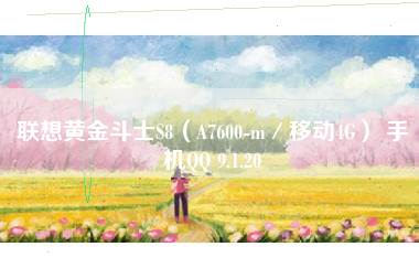 联想黄金斗士S8(A7600-m/移动4G) 手机QQ 9.1.20 联想黄金斗士S8(A7600-m/移动4G) 手机QQ 9.1.20