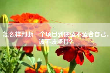 怎么样判断一个项目到底适不适合自己，该不该坚持？