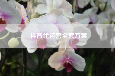 抖音代运营全套方案