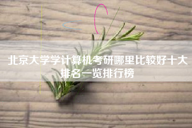 北京大学学计算机考研哪里比较好十大排名一览排行榜