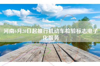 河南6月20日起推行机动车检验标志电子化服务