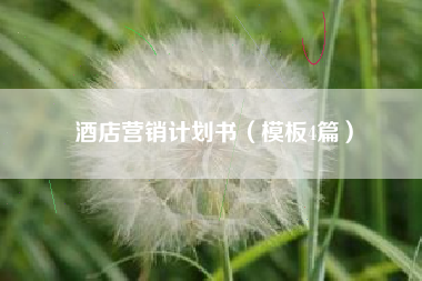 酒店营销计划书（模板4篇）