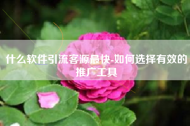 什么软件引流客源最快-如何选择有效的推广工具