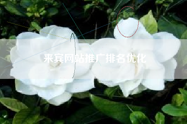 来宾网站推广排名优化