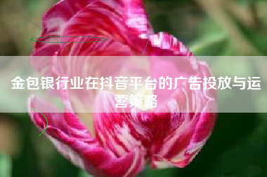 金包银行业在抖音平台的广告投放与运营策略