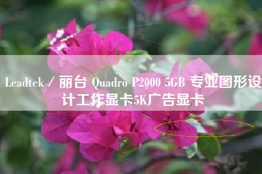 Leadtek／丽台 Quadro P2000 5GB 专业图形设计工作显卡5K广告显卡