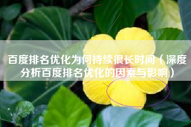 百度排名优化为何持续很长时间（深度分析百度排名优化的因素与影响）