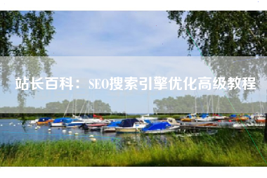 站长百科：SEO搜索引擎优化高级教程