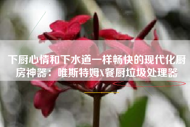 下厨心情和下水道一样畅快的现代化厨房神器：唯斯特姆X餐厨垃圾处理器