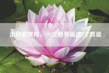 走向管理岗，一定要死磕这3个技能