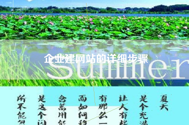 企业建网站的详细步骤