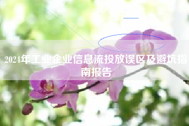 2024年工业企业信息流投放误区及避坑指南报告